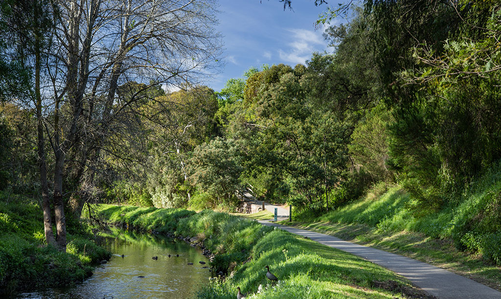 The Vic - Merri Creek